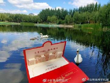 金蟾的寓意和象征_金蟾的寓意和象征是什么